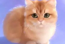 插畫丨萌萌的喵咪來襲，一大波頭像求上牆，畫貓誰能萌過她-酷播亮新聞