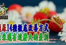 頻尿14種徹底改善方式，原來還有這麼大的差別-酷播亮新聞