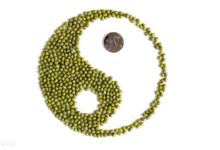 還在擔心長痘痘？ 用這個方法，由內而外調理你的身體-酷播亮新聞