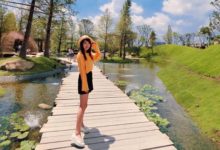 想讓IG照讚數破表？台中「這秘境」絕對不能錯過！除了有湖畔森林，還有「透明貨櫃屋」！-酷播亮新聞