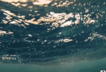 初學游泳必知8個基本步驟-酷播亮新聞