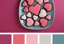 一組配色方案 素雅-酷播亮新聞