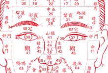 超實用面相術：額頭「看」流年運勢-酷播亮新聞