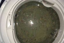 洗衣機長時間不清洗，比馬桶還臟，教你一招如何清洗！-酷播亮新聞