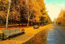 親密關係半死不活，還想挽回愛情怎麼辦？-酷播亮新聞