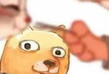 跟德國人結婚、戀愛是怎樣的體驗？-酷播亮新聞