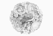 用一支鉛筆畫出最靜謐的小世界，暖心插畫師筆下的超精細森系-酷播亮新聞