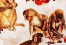 過年前財運越來越好的3大生肖，大年三十晚，數錢一整夜！-酷播亮新聞