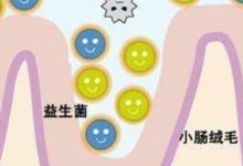 3分鐘帶你全面了解益生菌！-酷播亮新聞