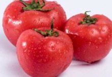 冬天常吃火鍋易上火，推薦幾款降火的蔬菜-酷播亮新聞