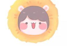 萌系小動物來襲！  ！-酷播亮新聞