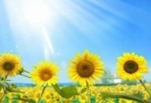 過了明年就能順利「成婚」的生肖-酷播亮新聞