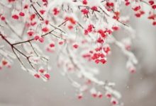 有多少婚姻，敗在不同的金錢觀上-酷播亮新聞