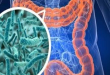 純天然胰島素，號稱糖尿病『死對頭』早晚喝一杯，糖尿病不攻自破-酷播亮新聞