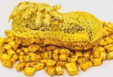 生在哪3個時辰的人，生來就是「貴人」相，有錢有勢有人愛！-酷播亮新聞