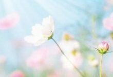 明年戊戌有「進財」之喜的生肖-酷播亮新聞