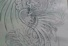 紋身素材：鳳凰線條圖-酷播亮新聞