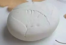 花草新玩法：讓生活充滿趣味！-酷播亮新聞