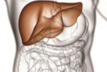 養肝等於養命，尤其是常喝酒的，每天吃一點，強肝護肝更健康-酷播亮新聞