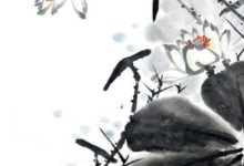 新年行大運的生肖排行以及財運改善方法-酷播亮新聞