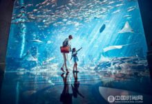 三亞·亞特蘭蒂斯酒店發布第一批親臨體驗客人特惠活動-酷播亮新聞