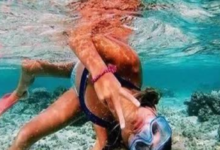 女人出生的月份，代表了性格和人生的秘密！-酷播亮新聞