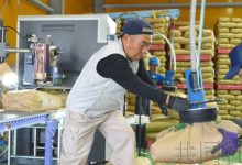 福島擬縮小縣產大米“全量全袋檢查”-酷播亮新聞