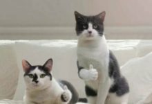 老師，你看我這個推導是不是還挺牛逼的？-酷播亮新聞