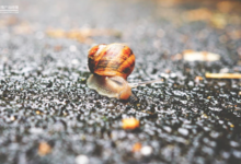 產品是越做越慢的-酷播亮新聞