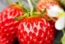 讓你財運差的風水布局有哪些呢？-酷播亮新聞