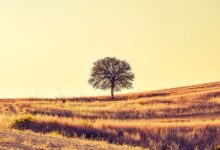 只需9步，教你學會畫彩鉛風景-酷播亮新聞