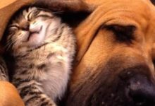 感覺一切都不順怎麼辦 最近諸事不順怎麼破解-酷播亮新聞