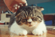 為什麼人不能冬眠呢？竟然是因為…-酷播亮新聞