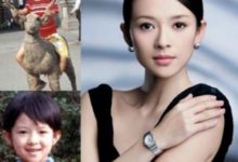 網傳章子怡整容被拍？ 看國際章如何霸氣回應！-酷播亮新聞