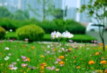 西班牙最著名的教堂有哪些 帶你走進不一樣的城市建築群-酷播亮新聞