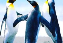 飲食保健的方法-酷播亮新聞