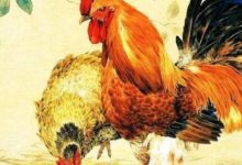 2018年煥然一新迎好運的3大生肖女，今年更美、更富、更受寵！-酷播亮新聞