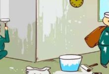 家裡人出現這些癥狀注意了，可能是甲醛中毒！-酷播亮新聞