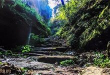 在你看來，武夷岩茶的味道該是如何的？-酷播亮新聞