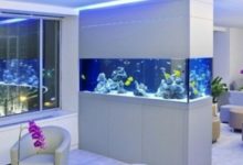 風水知識之家居風水魚缸的擺放禁忌-酷播亮新聞