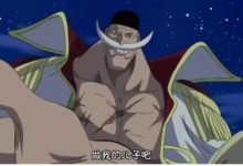 海賊王，弄垮白鬍子絕對是海軍最大的敗筆，因為黑鬍子更恐怖-酷播亮新聞