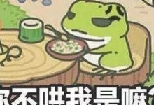 新年到了，可以給你養的蛙兒子買支唇膏送給小蝴蝶！-酷播亮新聞