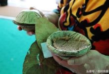 印度為什麼用樹葉當飯盆呢？-酷播亮新聞