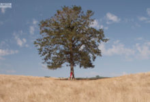 支付寶螞蟻森林淺析：科技，是這個時代最大的公益-酷播亮新聞