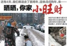 吉商回巢啟示錄之二：越過山丘！37名女高材生打造「洮寶」創業新模式-酷播亮新聞