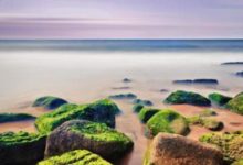 感情之路不穩，婚姻難和諧的命理-酷播亮新聞