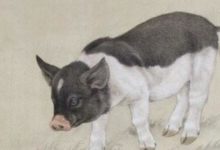 2018發財中國年，時來運轉財運旺求財容易的4個生肖-酷播亮新聞