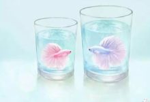 星座衣櫥：怎麼辦？浪漫的夢幻大師得了依賴症-酷播亮新聞