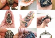 你還在玩集福？美國助理教授早已集到4億萬年前的「化石」，並且成功進軍時尚界-酷播亮新聞