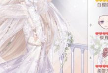 奇迹暖暖蘋果聯邦的大小姐怎麼搭配？高贊頂配攻略！-酷播亮新聞